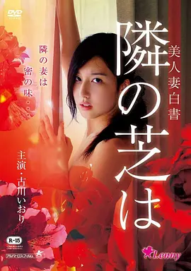 御膳房小厨娘海报